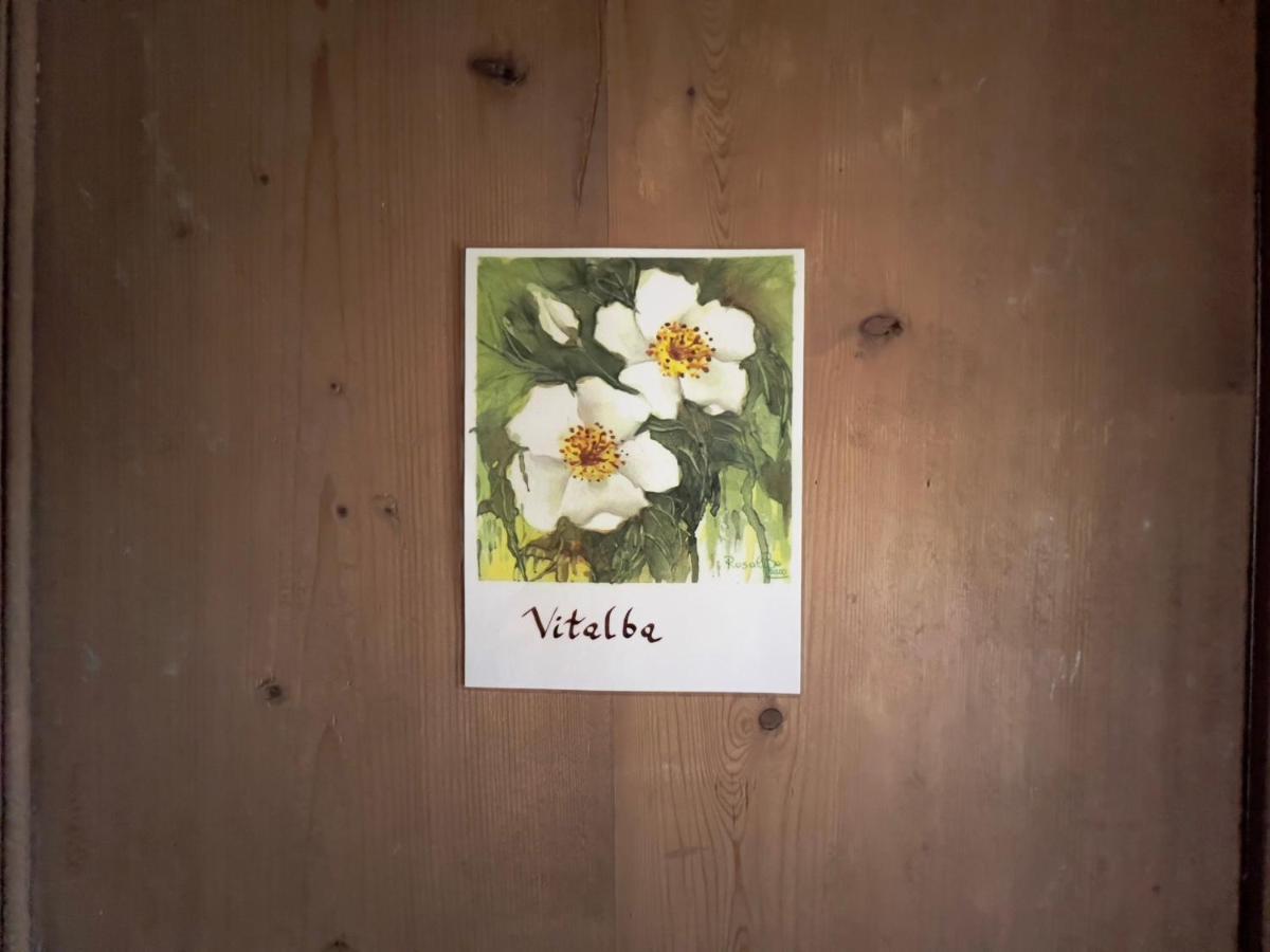 B&B Il Posto Delle Rose Almenno San Salvatore Esterno foto